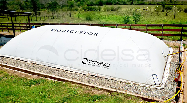 2009